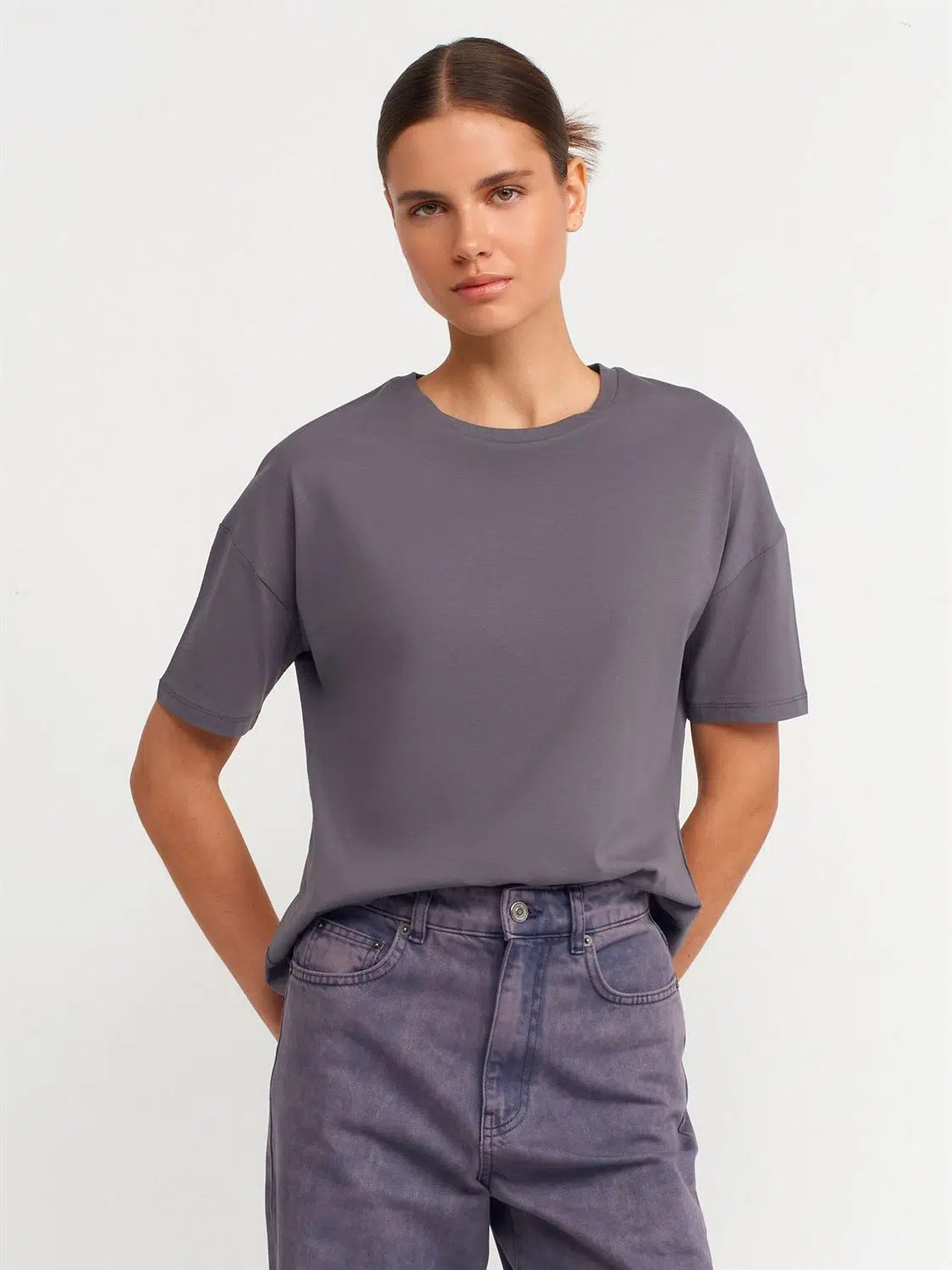 3683 DİLVİN T-SHIRT BASİC - FÜME
