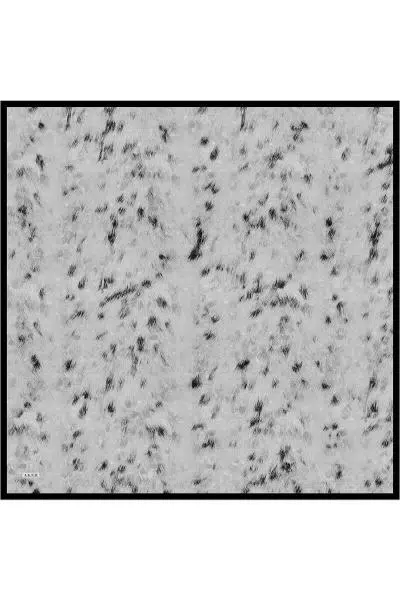 9051701 AKER İPEK KREP SATEN EŞARP